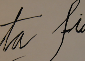 lletres que posa "rata fiat"