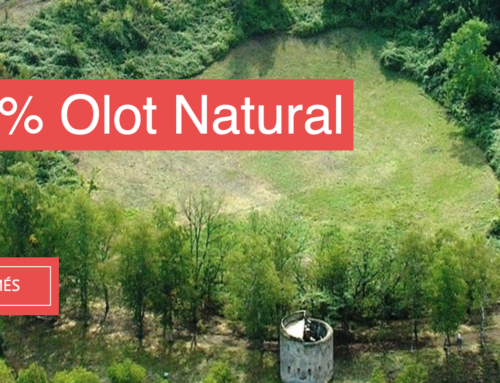 Conceptualització i plec tècnic del nou web turístic d’Olot